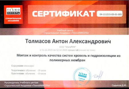 Сертификат Толмасову Антону Александровичу